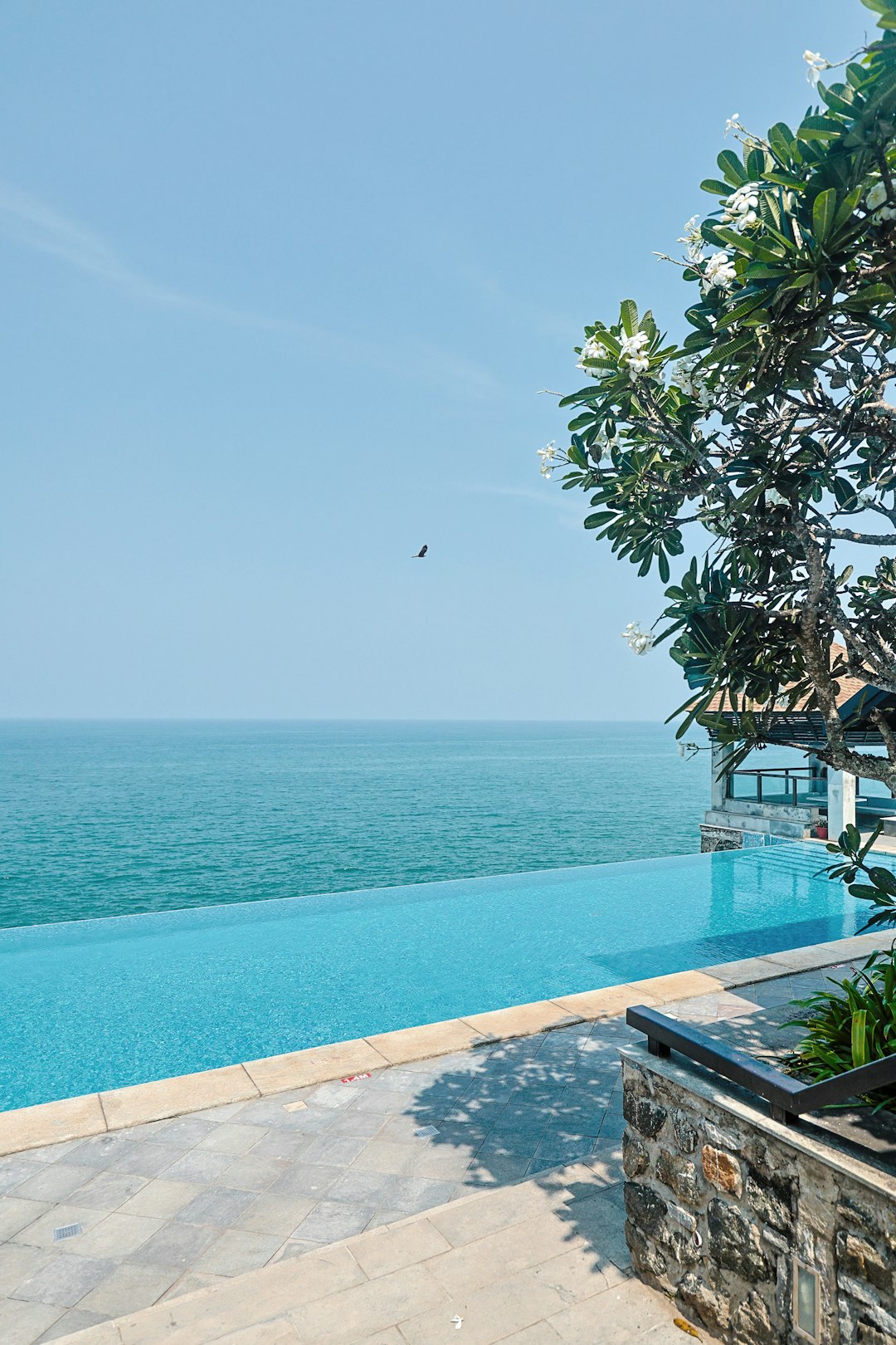 Infinity Pool